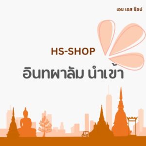 อินทผาลัม ยี่ห้ออื่นๆ